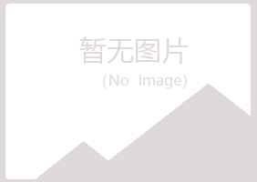 田东县现实能源有限公司